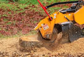 Best Tree Cabling and Bracing  in Johnstown, CO