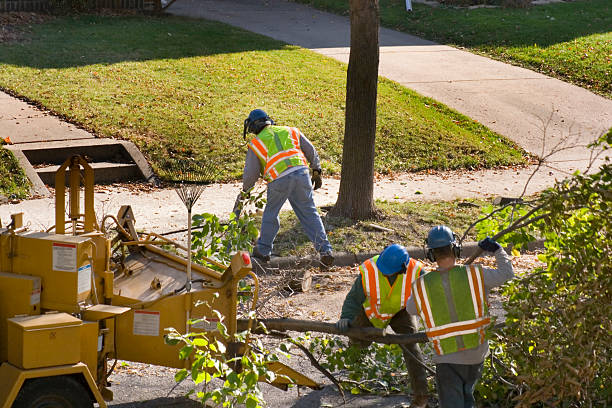 Seasonal Cleanup (Spring/Fall) in Johnstown, CO