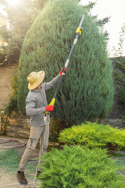 Best Commercial Tree Services  in Johnstown, CO